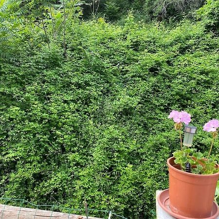 Villa Serenice - F2 Au Calme, Climatise, Wifi Et Parking Gratuit Nice Exterior foto