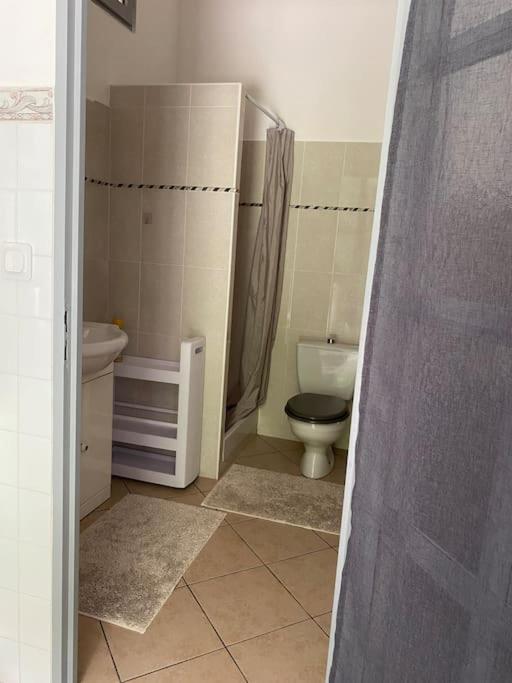 Villa Serenice - F2 Au Calme, Climatise, Wifi Et Parking Gratuit Nice Exterior foto