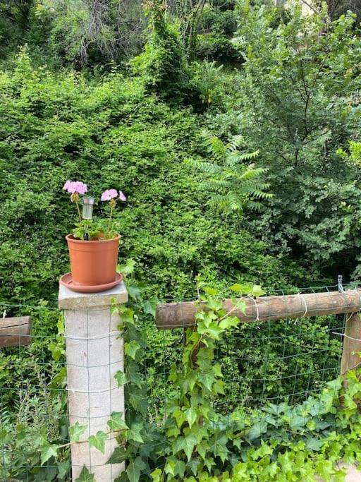 Villa Serenice - F2 Au Calme, Climatise, Wifi Et Parking Gratuit Nice Exterior foto